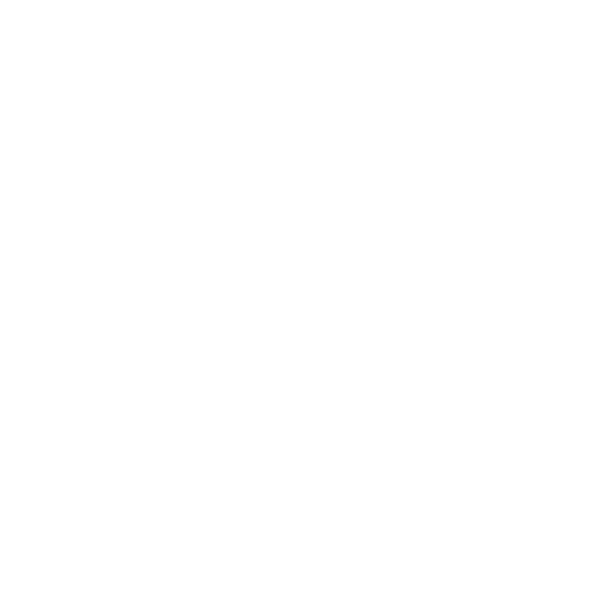 A Bear Co. LLC