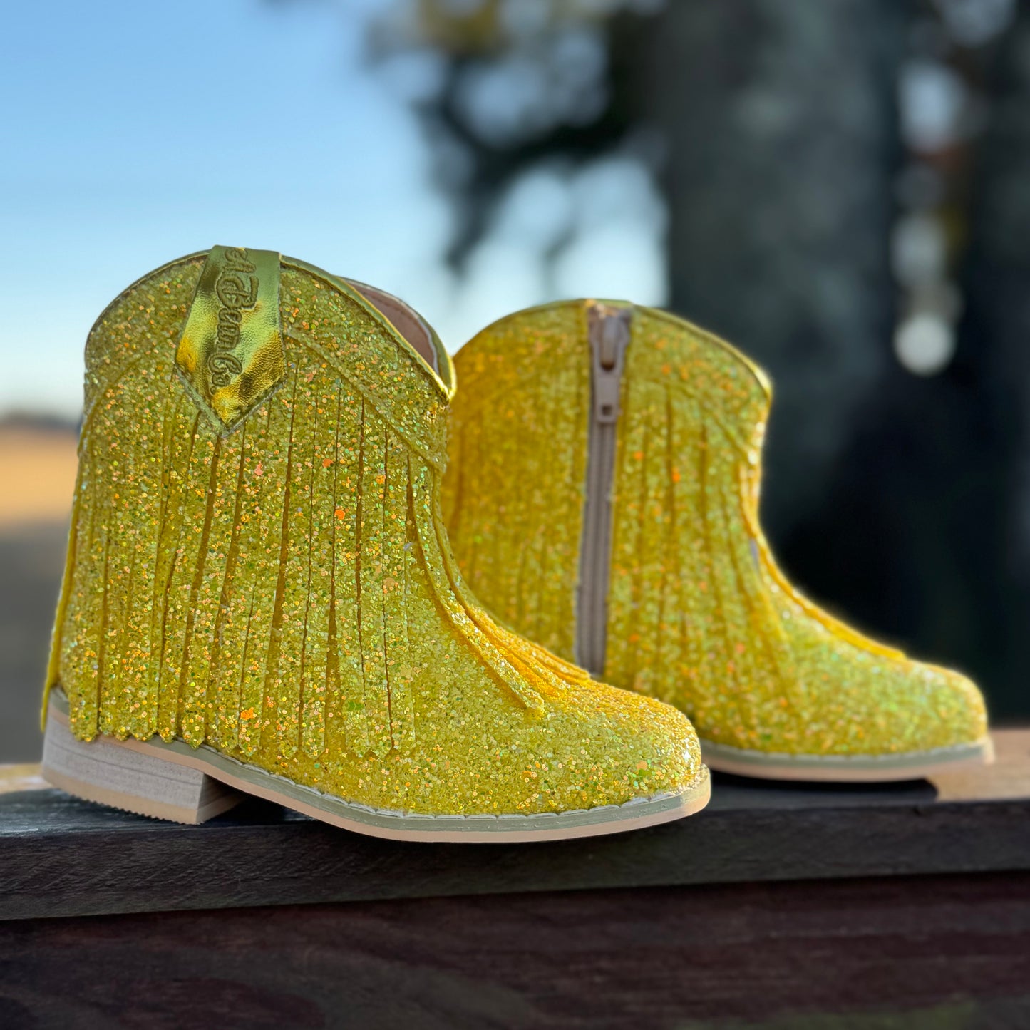 RTS Pineapple LOWCUTS